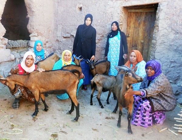 Empowerment of Moroccan rural women through the production of milk and goat cheese (COROSA cooperative)